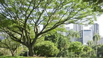 Sustainable Cities