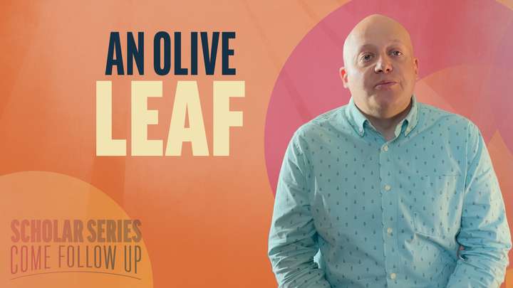 August 11-17 | Doctrine and Covenants 88 | An Olive Leaf