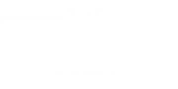 The Fixers