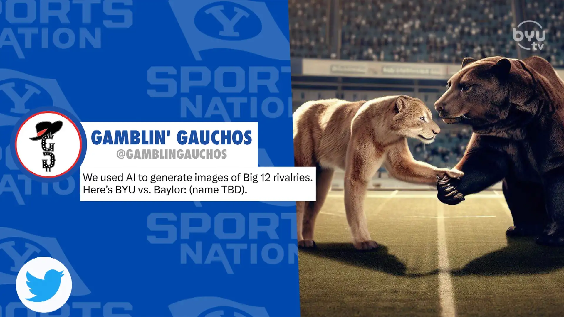 Cougar Whiparound 