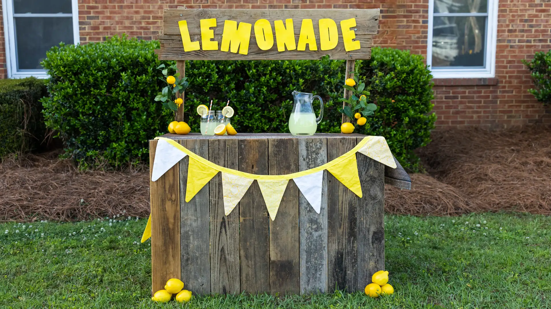Lemonade Stands