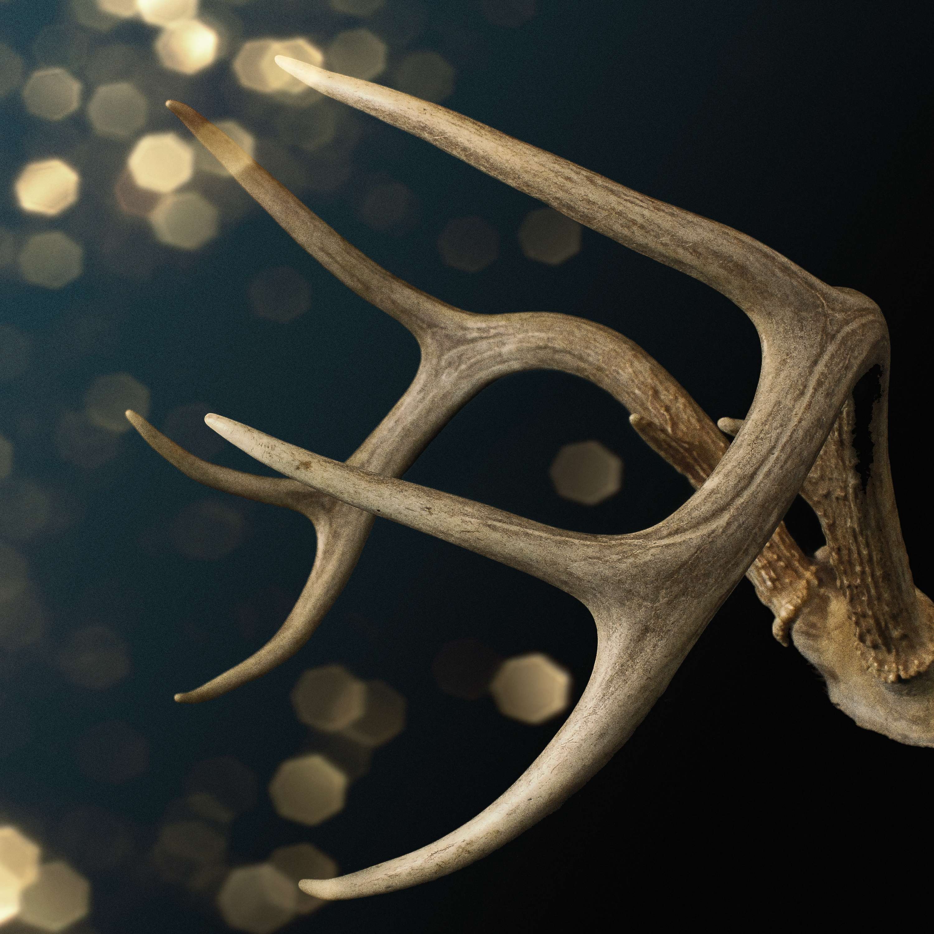 The Christmas Jars Podcast