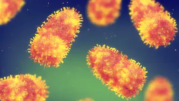 Zoonotic Diseases