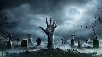 Our Fixation With Zombies