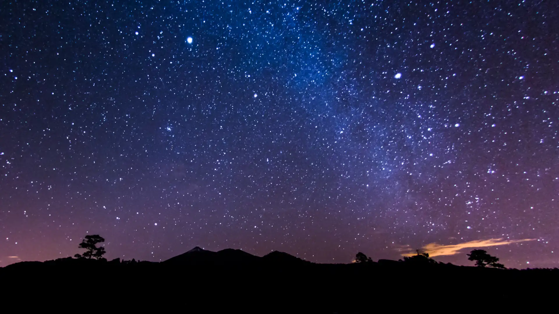 Dancing with the Stars