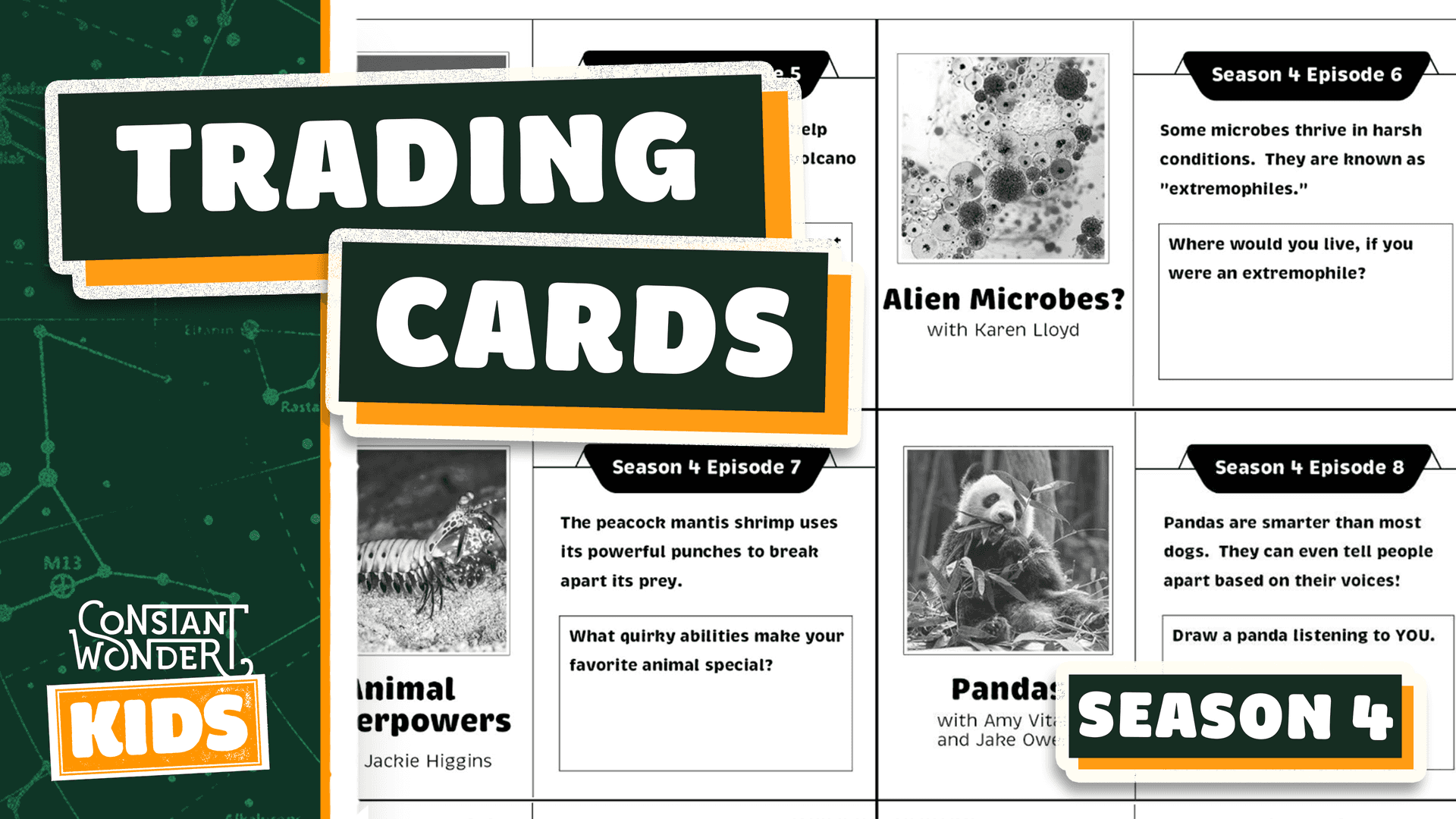 TRADING CARD PRINTABLE