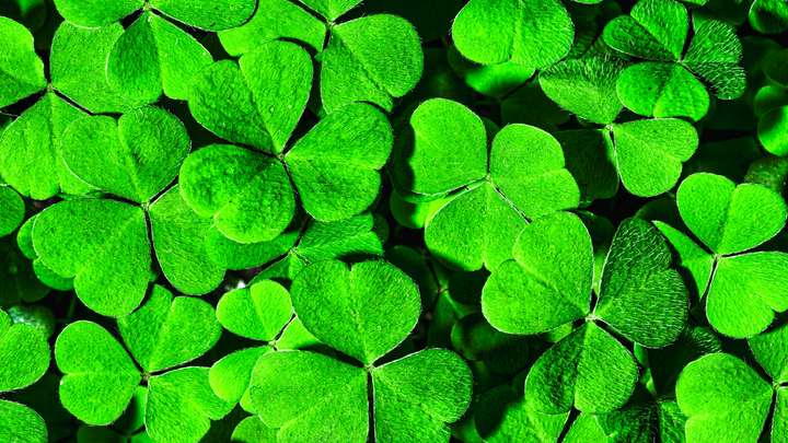 Luck of the Irish