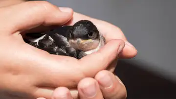 Peace in Waiting - December 10