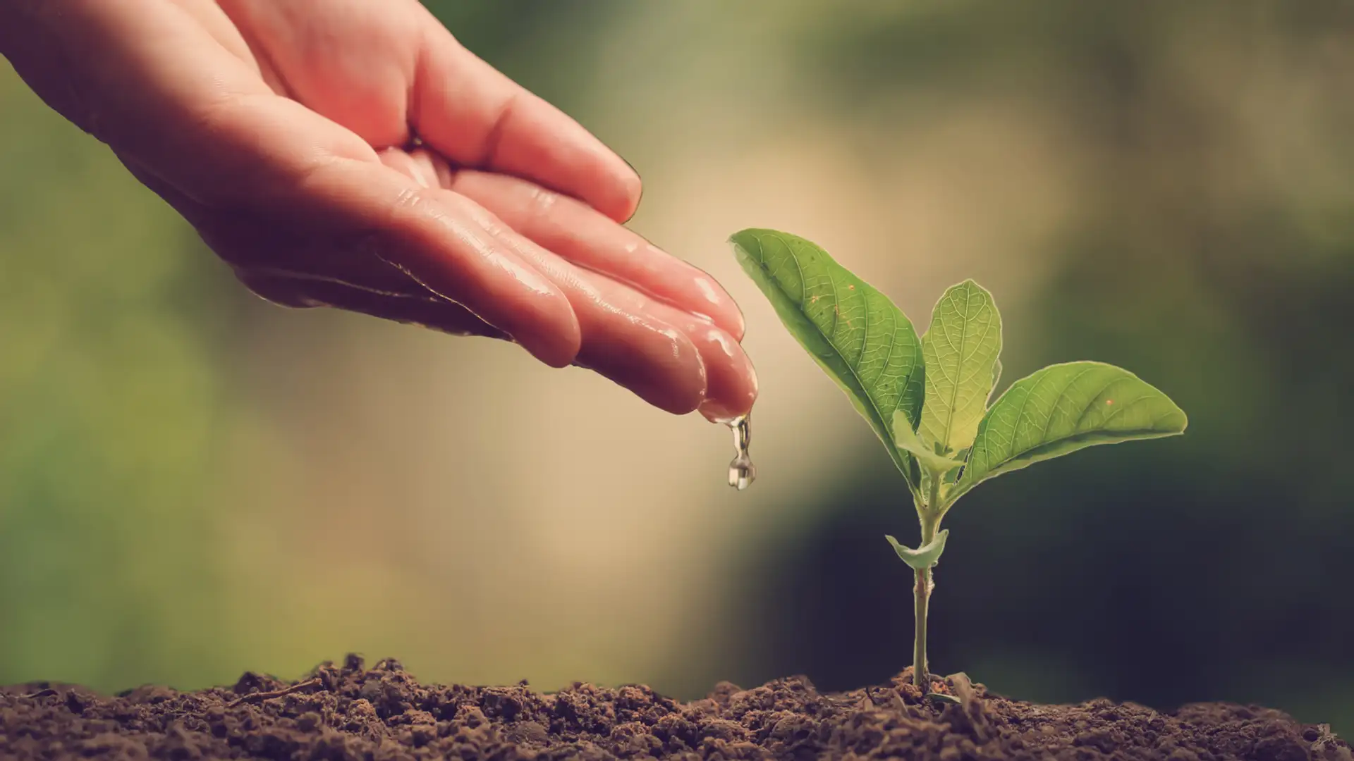 Growing in the Knowledge of Truth