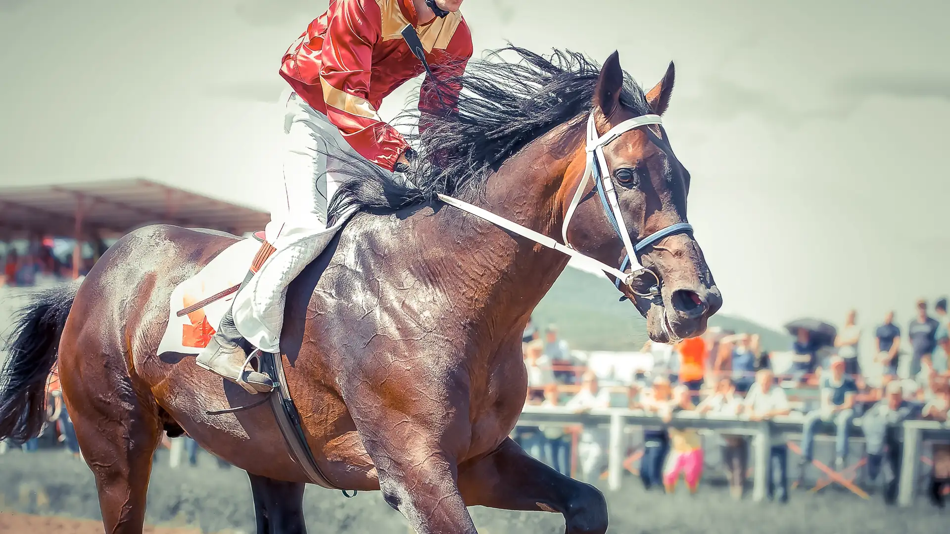 The Luck of The Derby