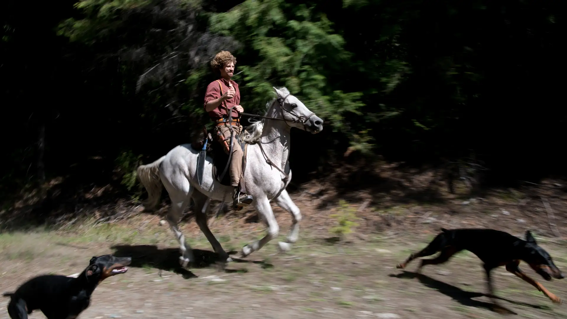 A New Era of Peace in the Wolf Wars