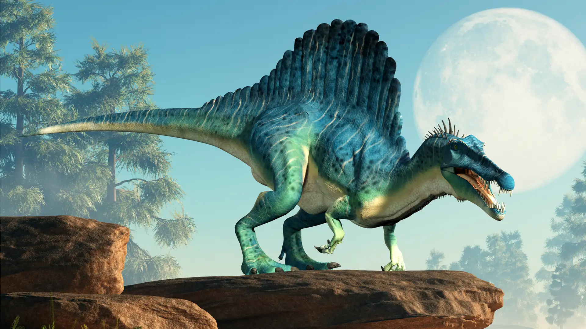 EXTRA **** "The Dinosaur and the Bone" by Mark Binder