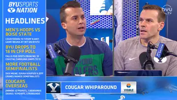 Cougar Whiparound 