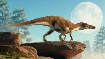 Dino Extinction