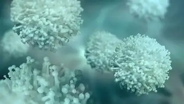 COVID Microbes