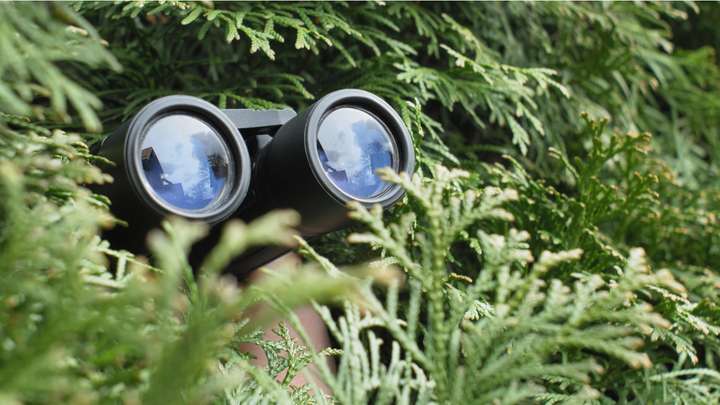 CIA Disguises