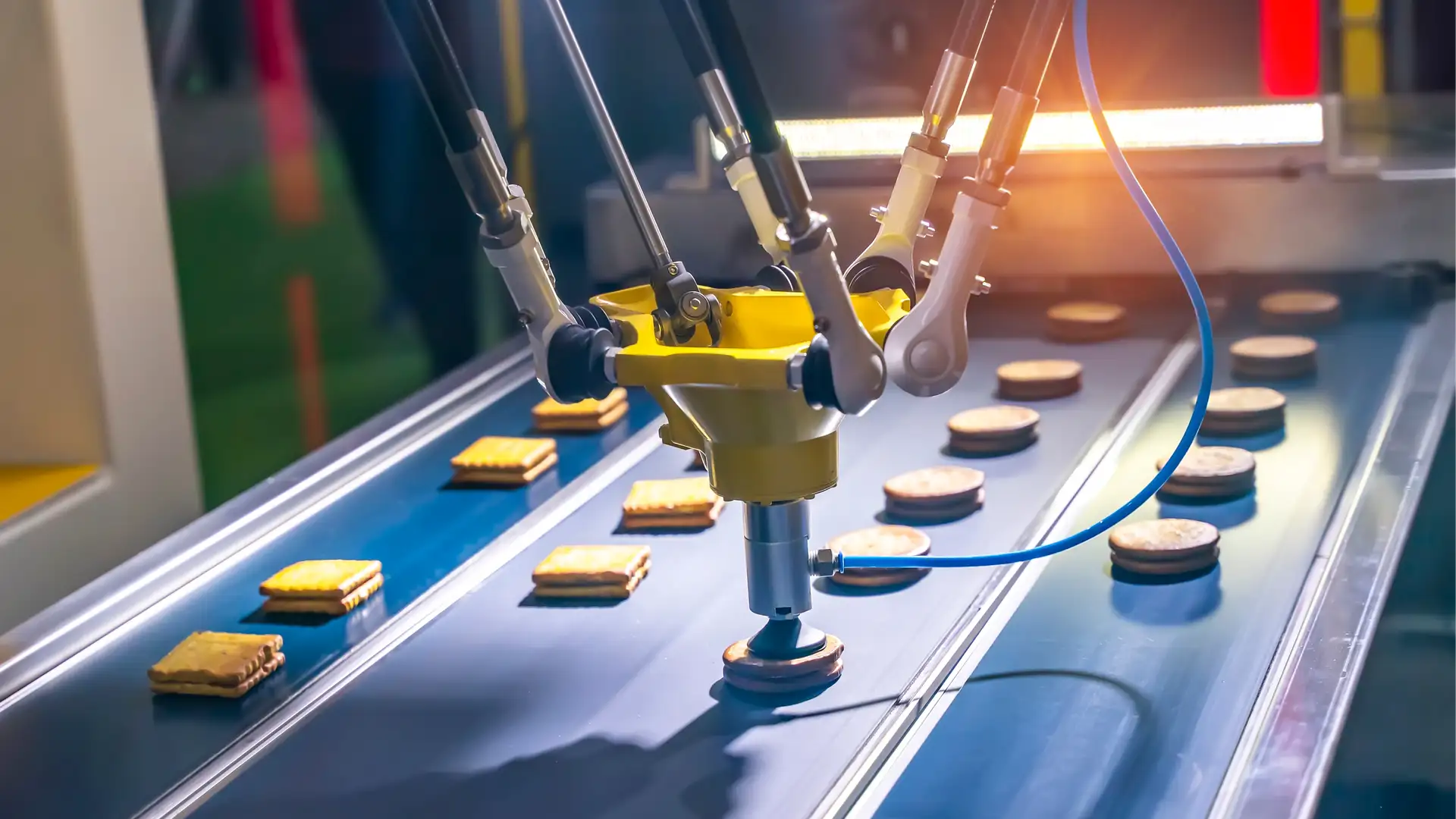 Cute Robots Ferrying Food