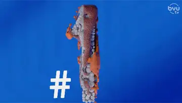 Top 5 Tuesday