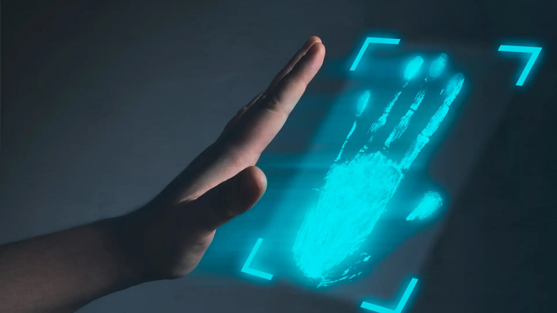 Biometrics and Business