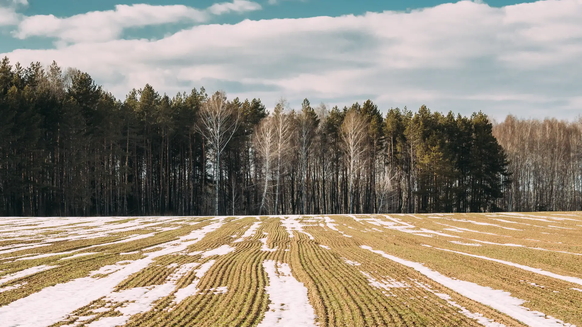 Merry Christmas from Constant Wonder - December 25