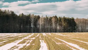 Merry Christmas from Constant Wonder - December 25