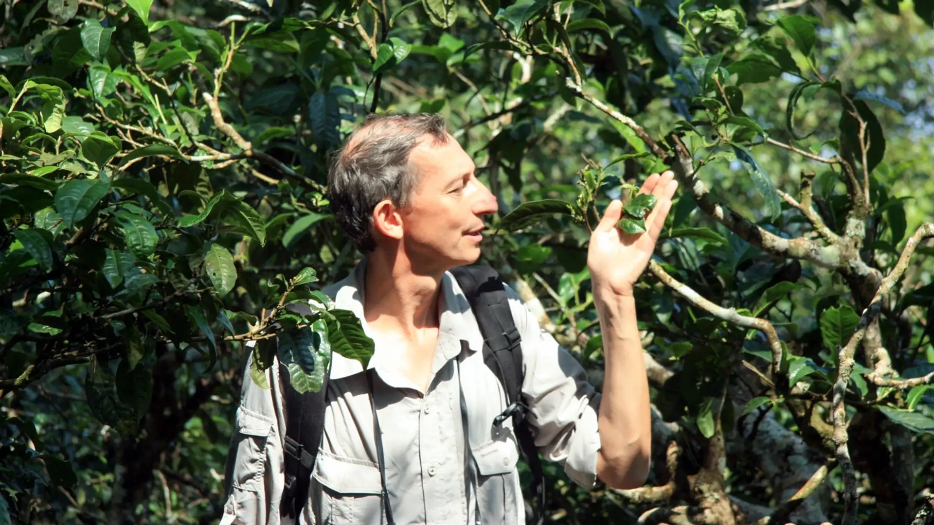 The Human Side of Plants
