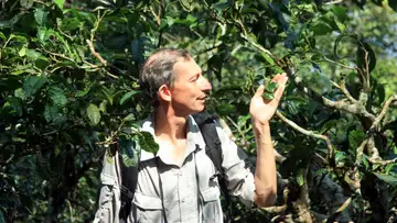 The Human Side of Plants