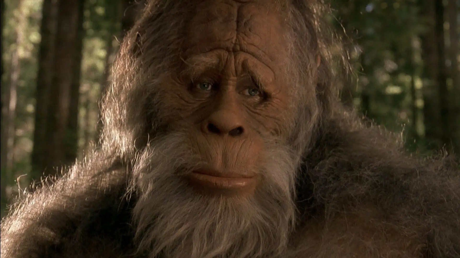 Harry and the Hendersons