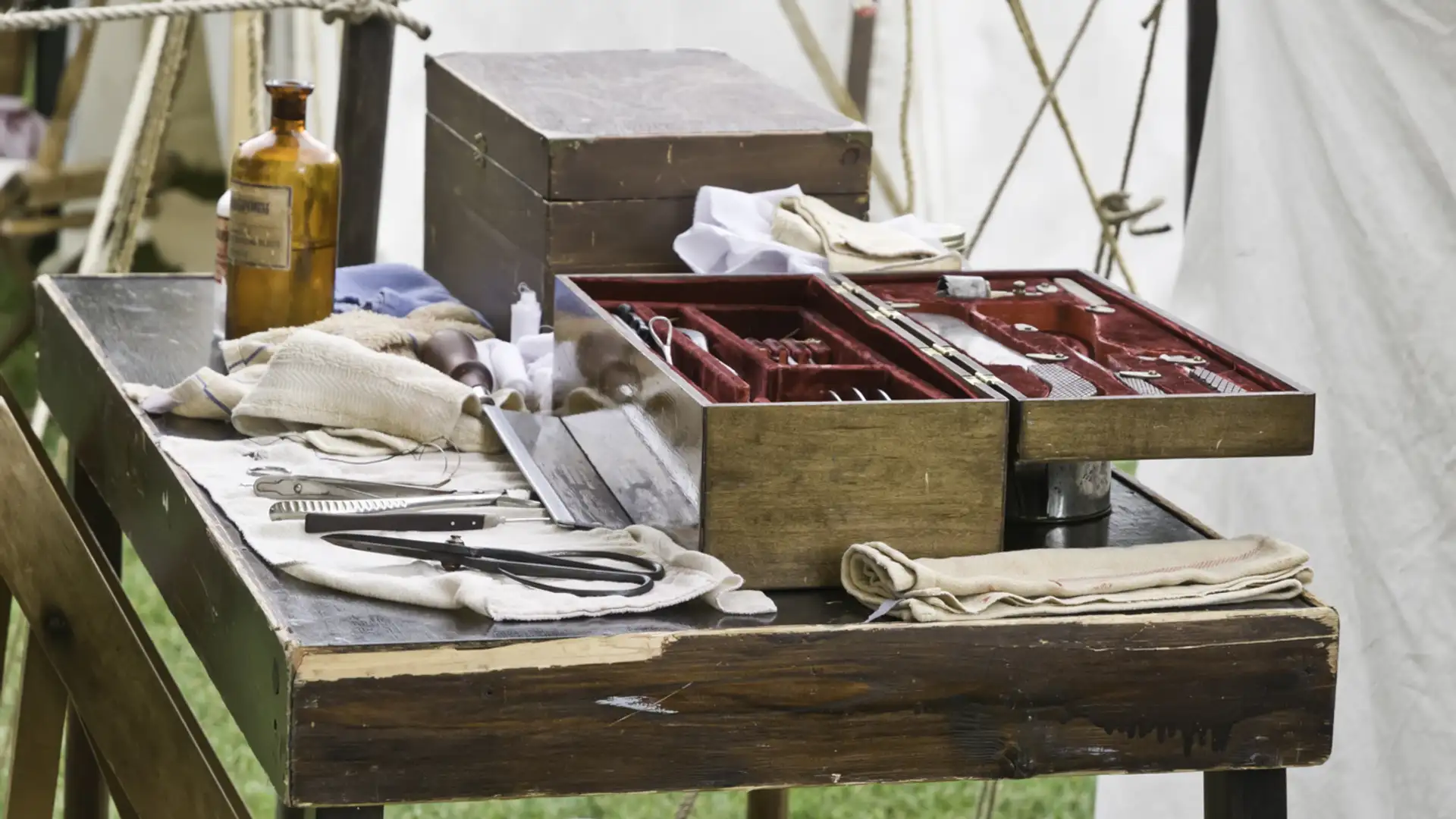 How a Confederate Journal Could Help Fight Drug-Resistant Bacteria