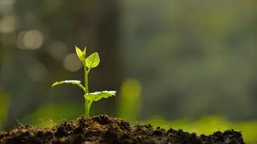 Knowing, Loving, and Growing.