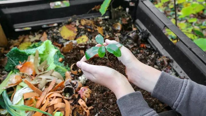 Composting