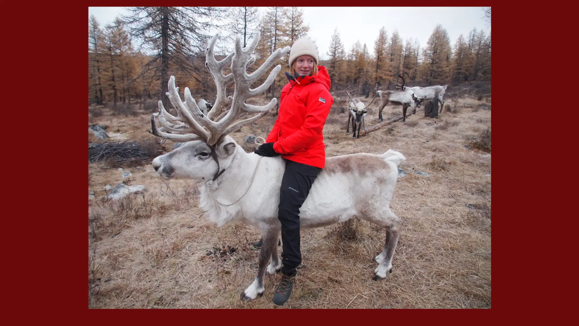 What’s It Like to Be Russia’s Neighbor? 