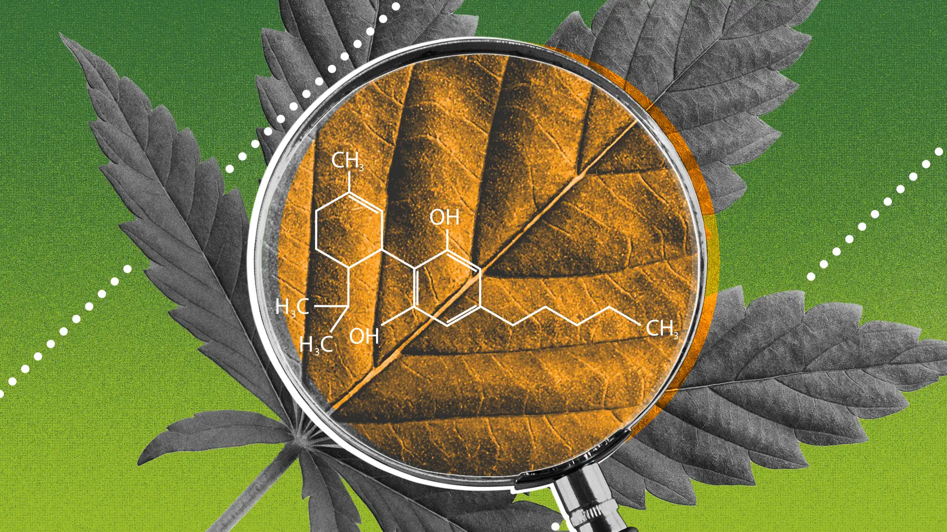 Is Marijuana Legalization Working Out Like We Thought it Would?