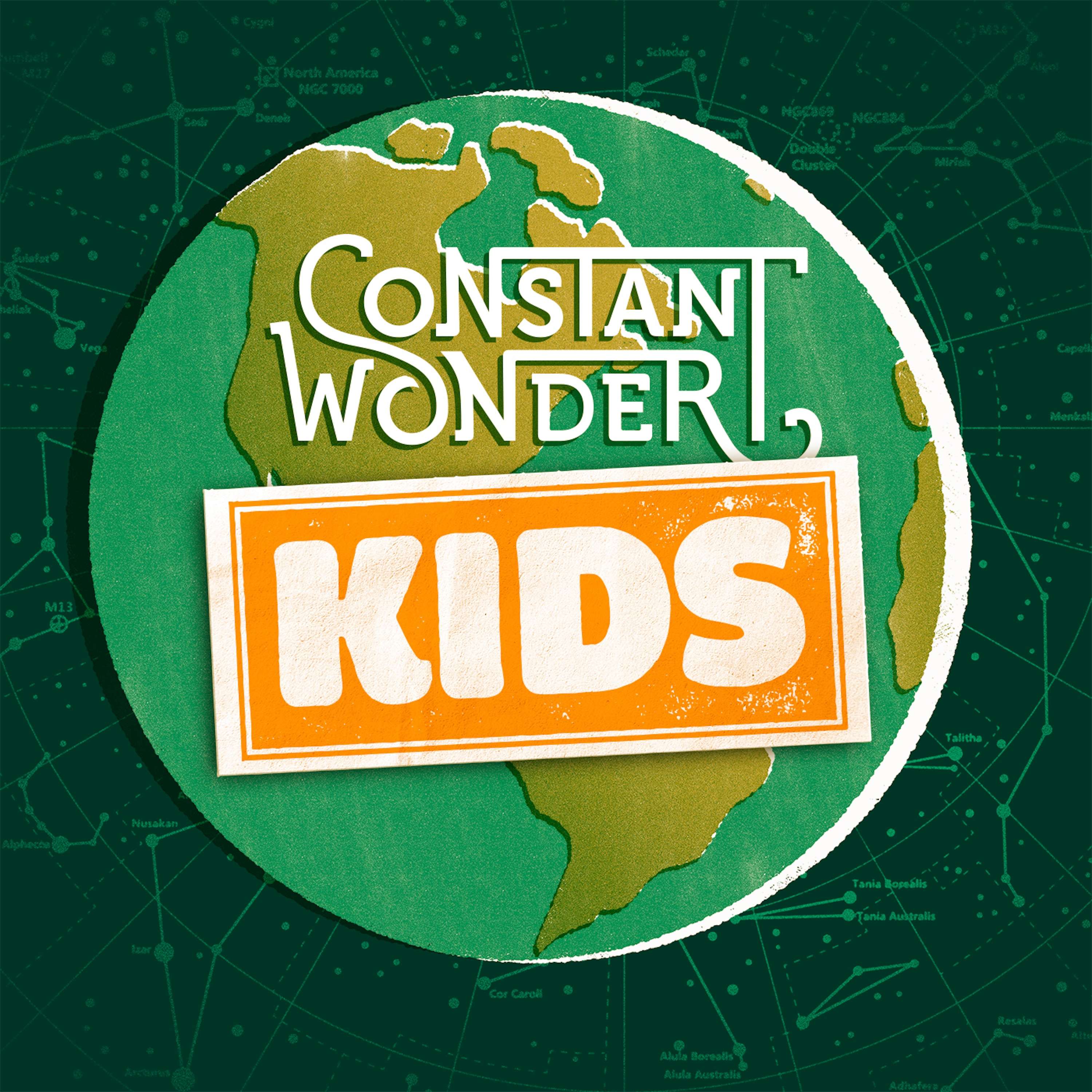 Constant Wonder KIDS Feed Drop