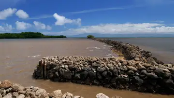 Hawaiian Fish Ponds