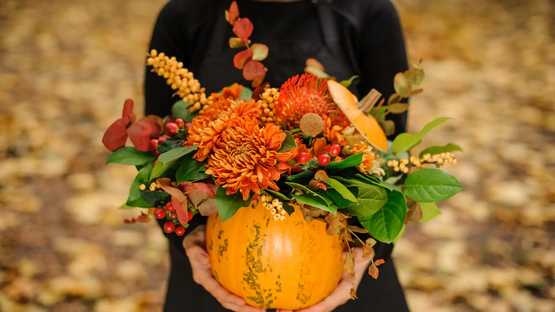 Enjoying Fall Flowers