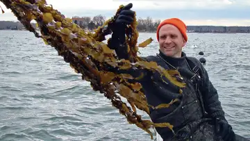 Family Farms, in the Sea