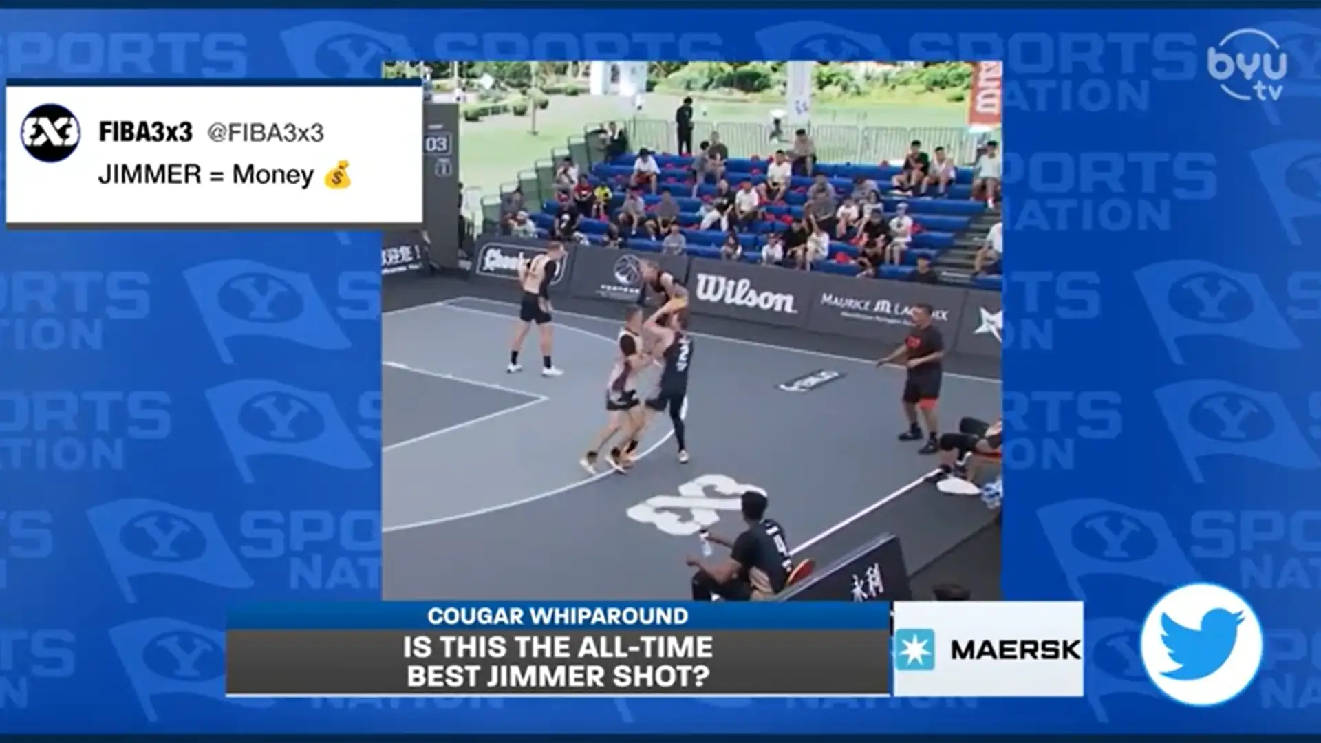 Cougar Whiparound 