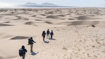 Sinking Sands