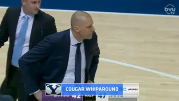 Cougar Whiparound 