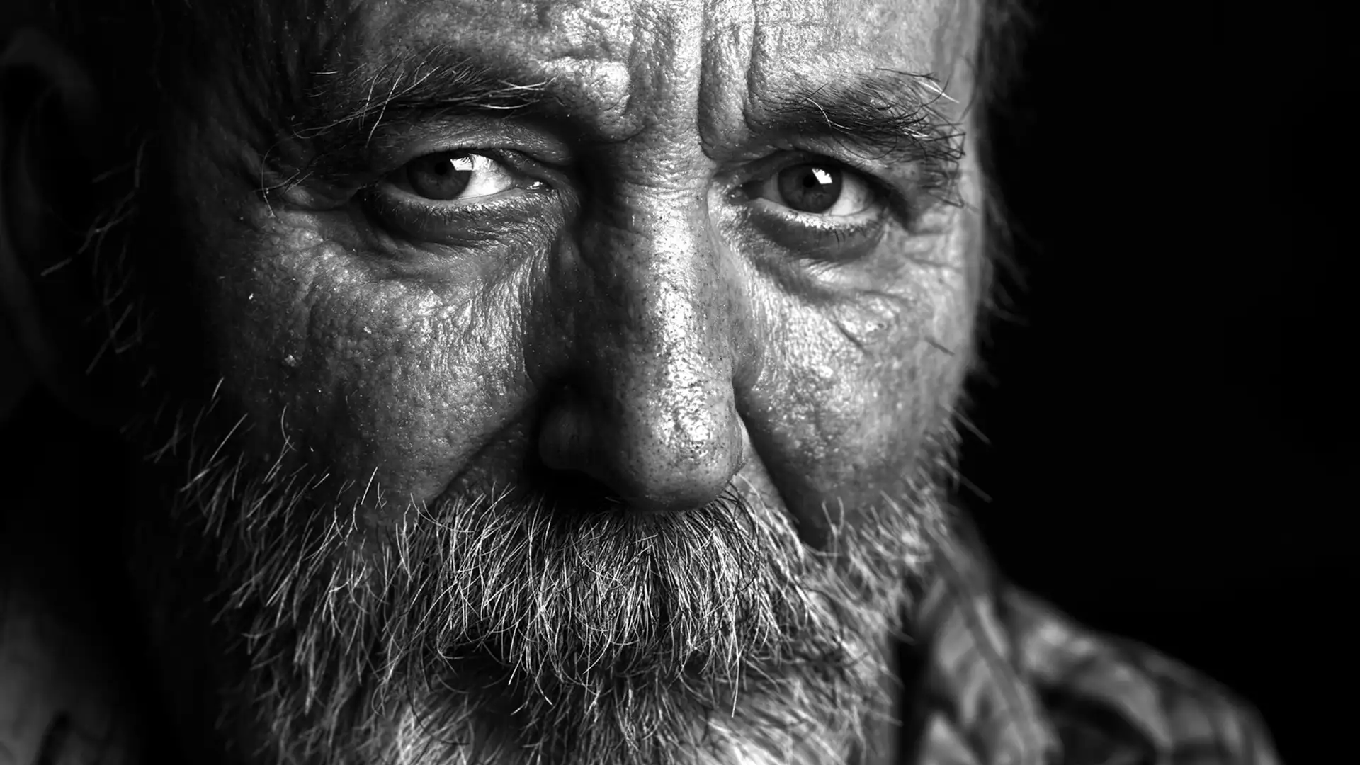 Papa by Molly Catron