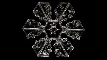 S1 E8: Snow, Snow, Snow!