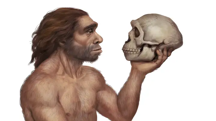 Rethinking Neanderthals
