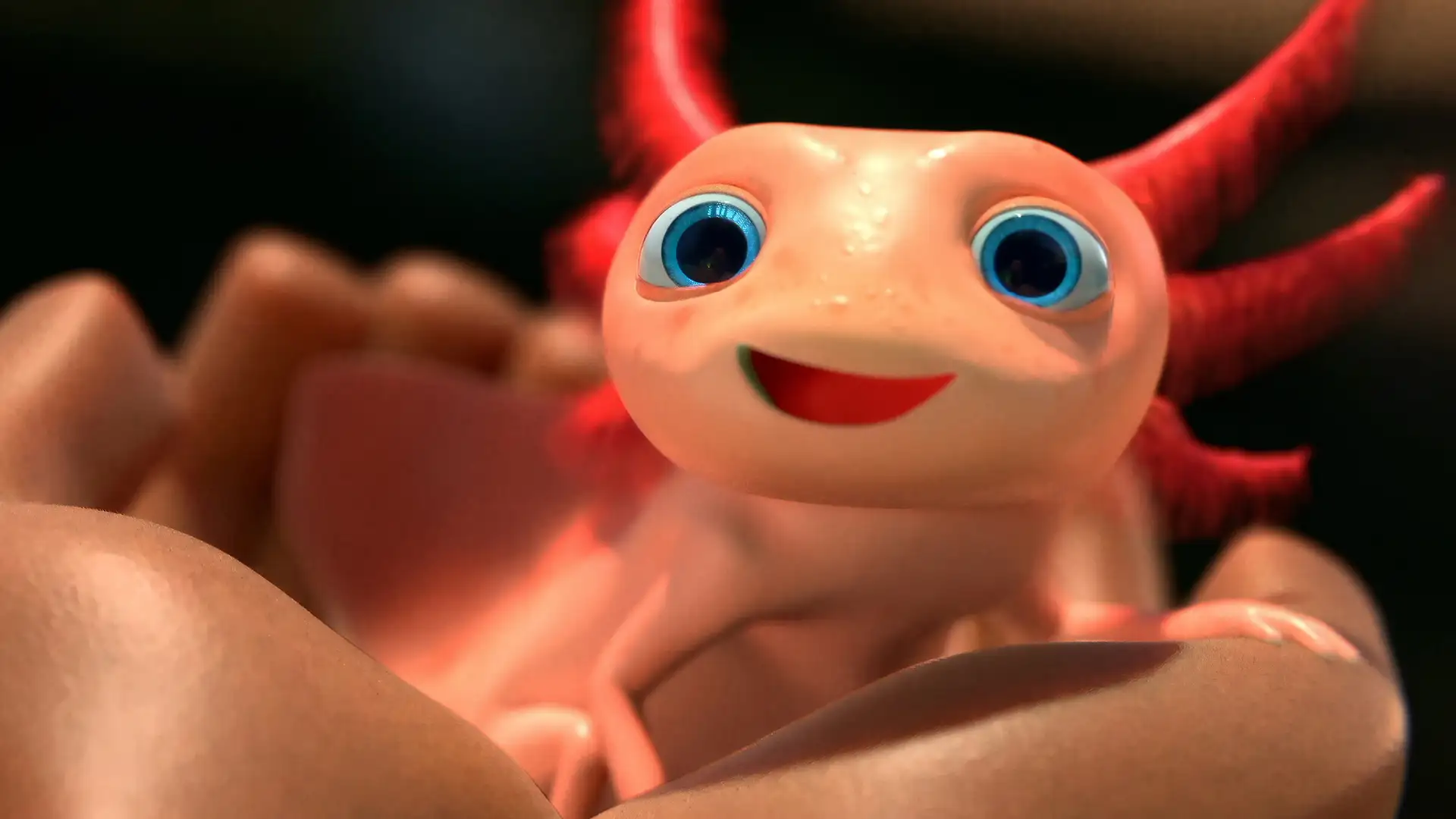 Animated Shorts