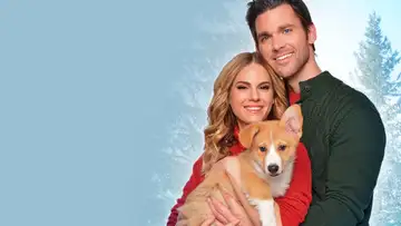 A Very Corgi Christmas