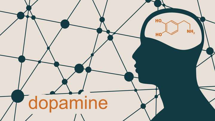 Dopamine and Addiction