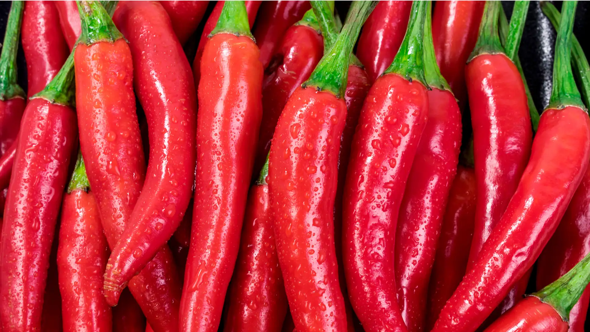Why Do You Enjoy Food That Sets Your Mouth on Fire?