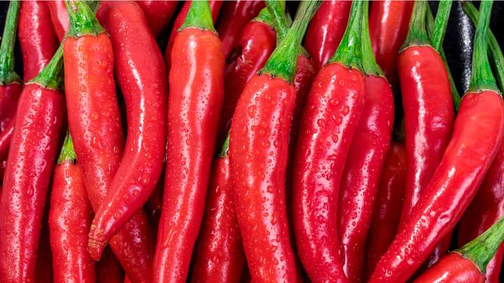 Why Do You Enjoy Food That Sets Your Mouth on Fire?