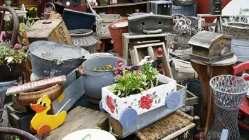 Cleaning Up and Common Sense