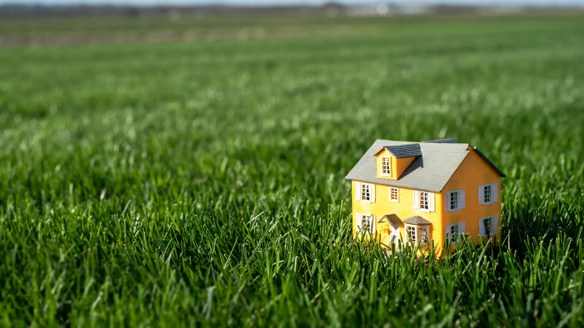 BITE: "Slops" by Pam Faro